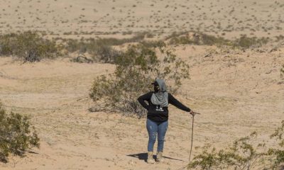 raptan a buscadora de Sonora