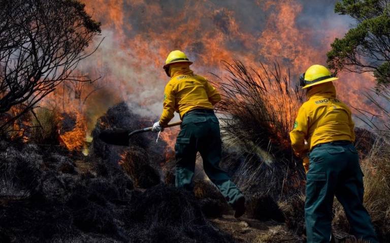 incendios forestales activos