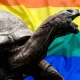 jonhatan, tortuga gay