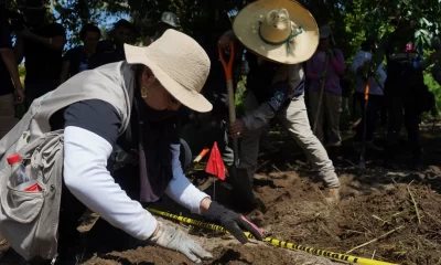 encuentran 45 bolsas con restos