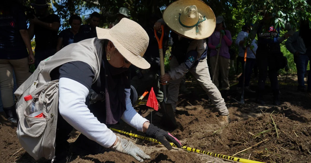 encuentran 45 bolsas con restos