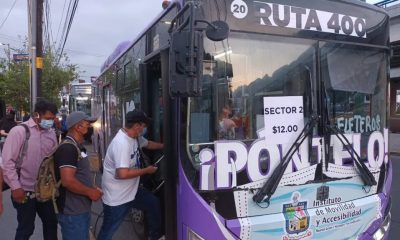 camioneros regios rejegos