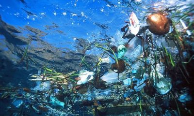 grave contaminación cuencas y ríos