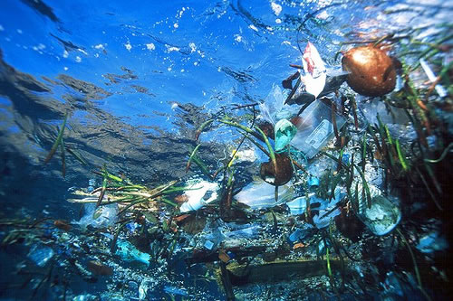 grave contaminación cuencas y ríos