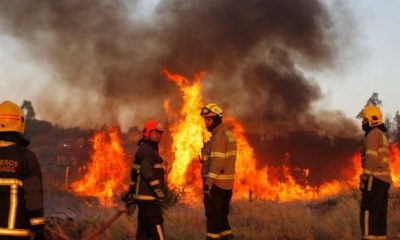 incendios forestales