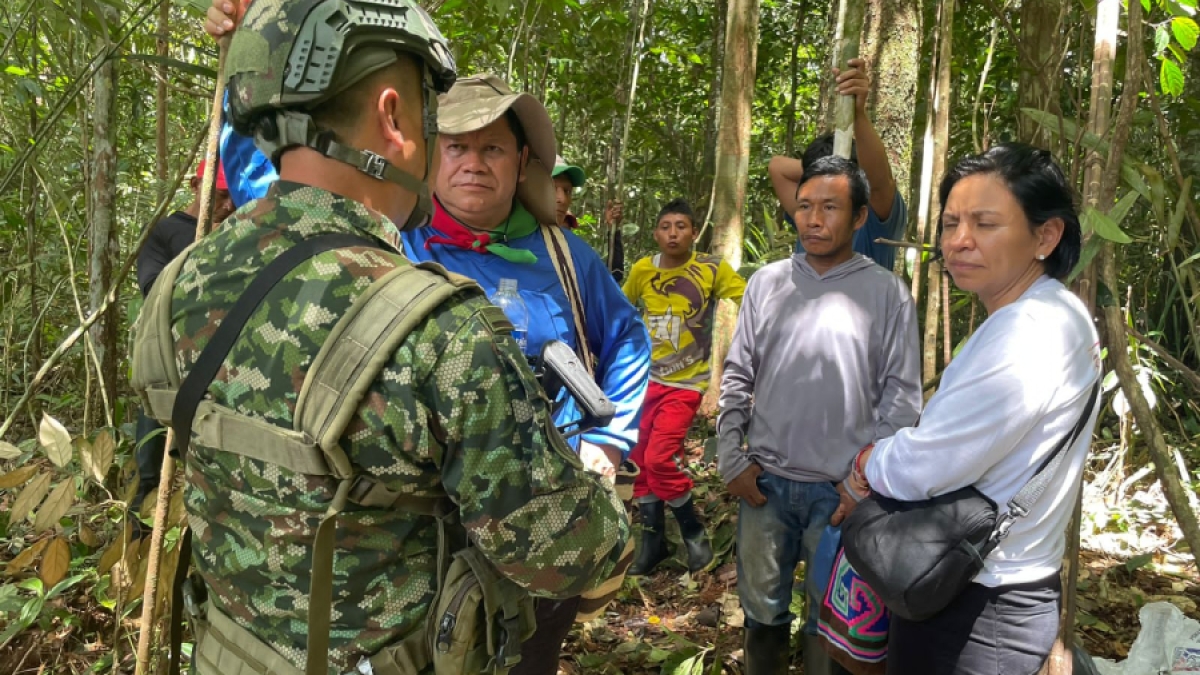 sobreviven 40 días en la selva