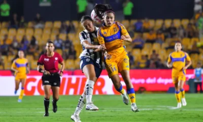 Tigres y Rayadas